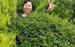 亚洲精品中文字幕一区二区三区